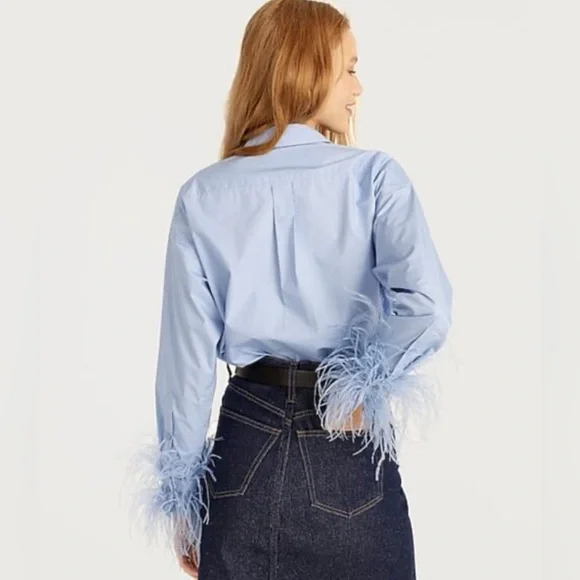 J.Crew Collection Feather Trim Poplin Button-Up Shirt | Size 14 | Blue - Picture 3 of 15